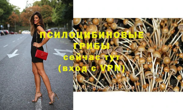 прущий лед Вязьма