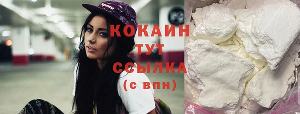 спиды Вяземский