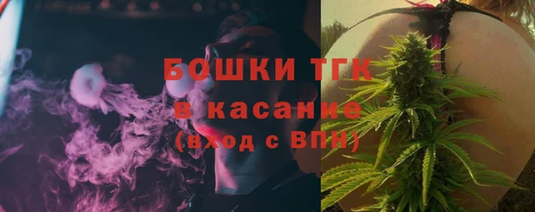 спиды Вяземский
