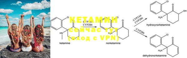 PSILOCYBIN Волосово