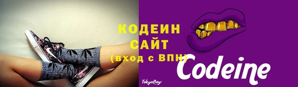 спиды Вяземский