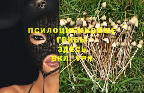 прущий лед Вязьма
