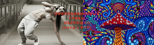 спиды Вяземский