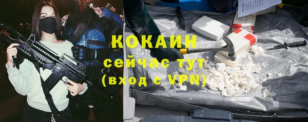 спиды Вяземский