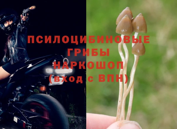 гидропоника Вязники